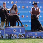 2009 HR - CACIB Dog Show