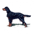 The Kennel Club | 