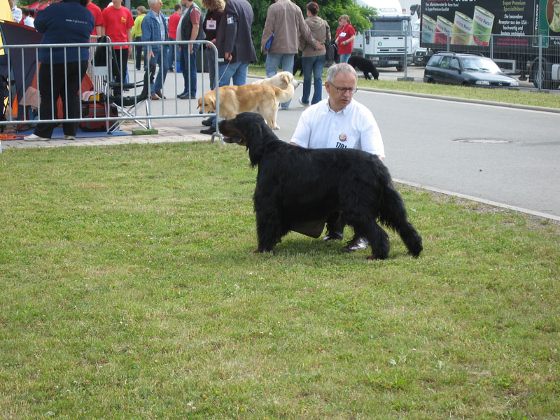 Erfurt 2008