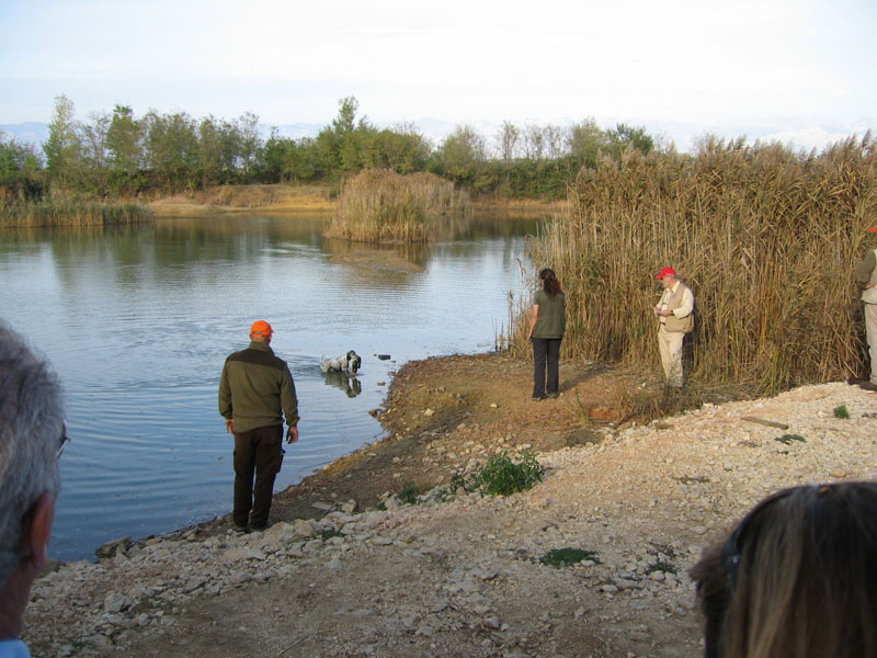 Chorvatsko - Zadar 2008