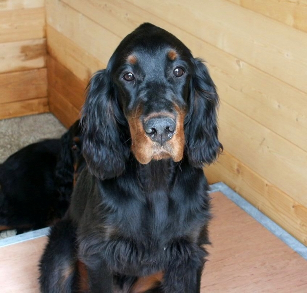 Faugère des Pralines d´Aubejoux