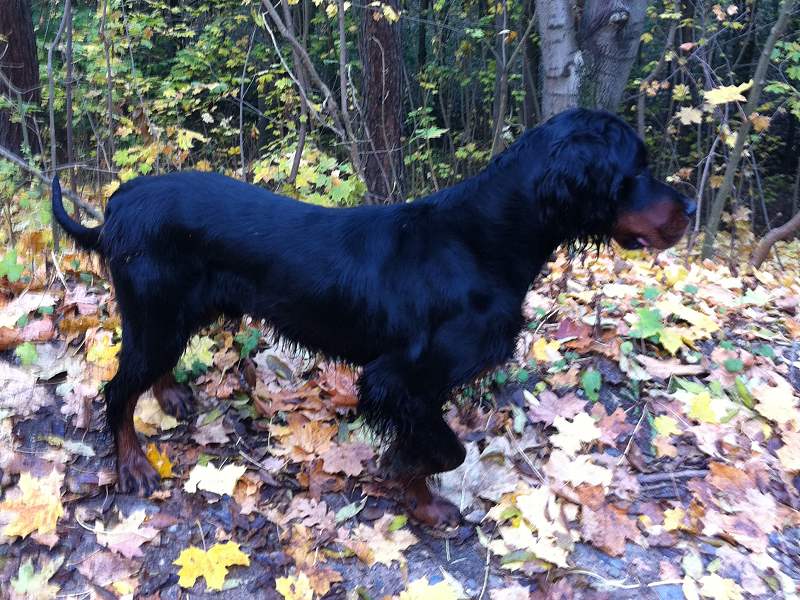 Favart des Pralines d´Aubejoux