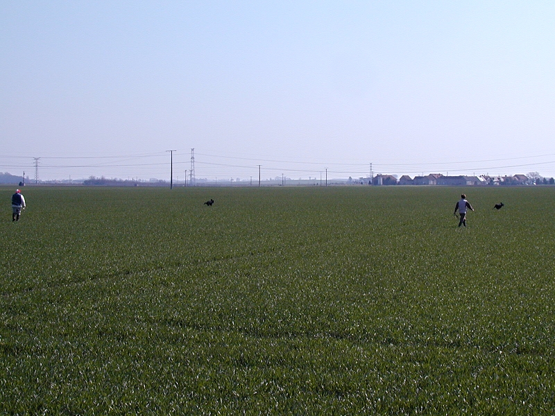 Evropa Cup 2004