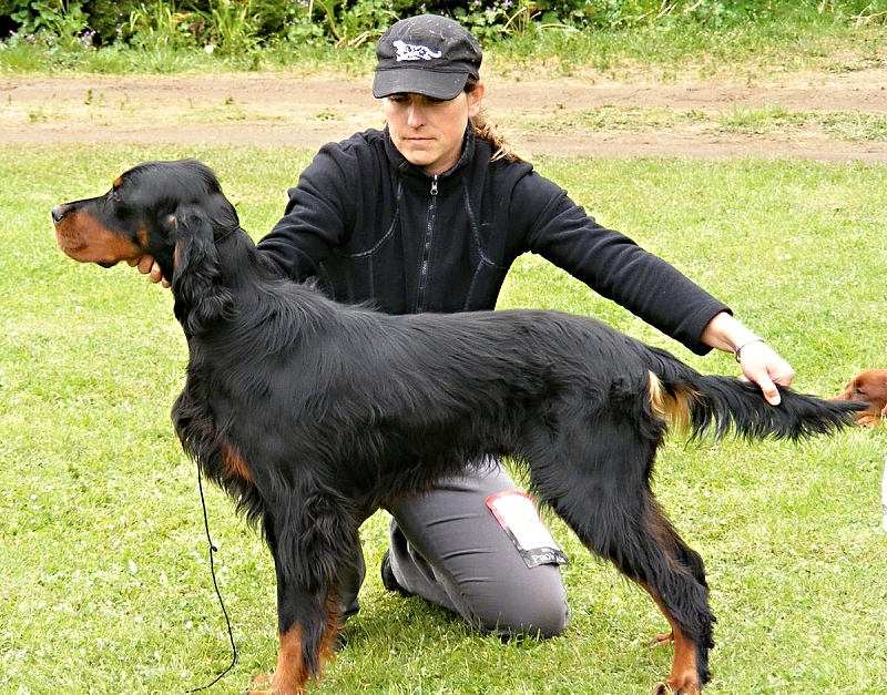 CAJC M - Favart