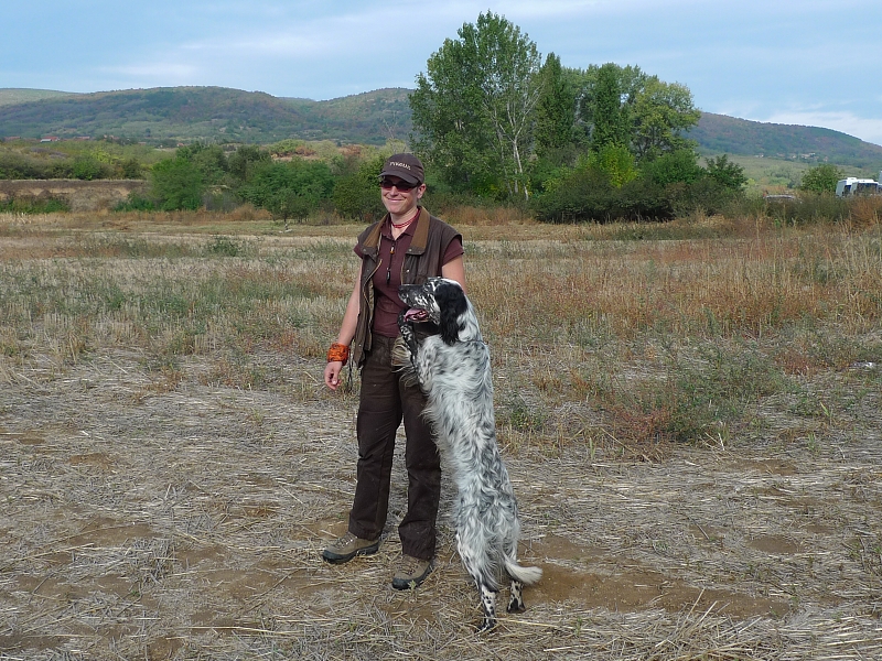 Evropa Cup English Setters 2012 autumn