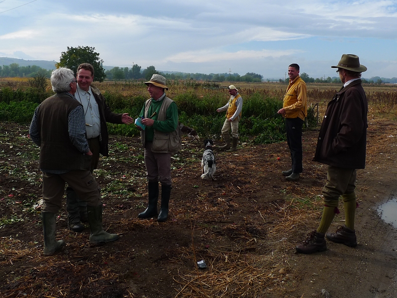 Evropa Cup English Setters 2012 autumn