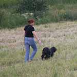 7/2008 čechy