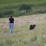 7/2008 čechy