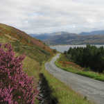 Skye