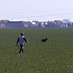 Evropa Cup 2004