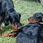 Jinonický dvůr B