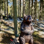 Luka potkal medvěda